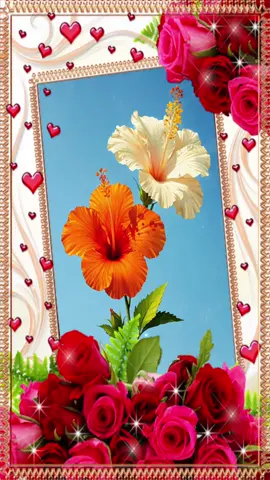 #اللهم آمين يا رب العالمين اللهم إني أسألك العفو والعافية في الدنيا والآخرة#🌻🌱🌻🌱🌻 