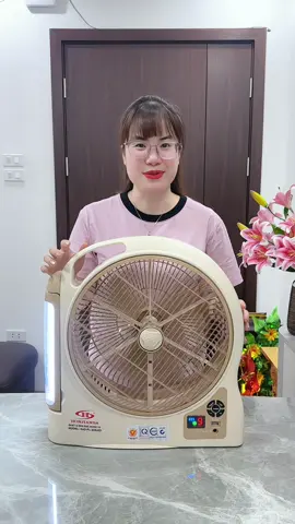 agnee12 Quạt Sạc Tích Điện dạng hộp AC&DC 12 inch Honjianda FL323/FL313 1-2 pin - có đèn LED & USB