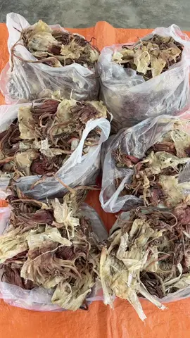 Râu mực lá đại dương, hàng thiên nhiêu to ngon, không chất bảo quản nhé 😋😻#râumực #râumựclá #đầumựckhô #khômực #râumựckhô 