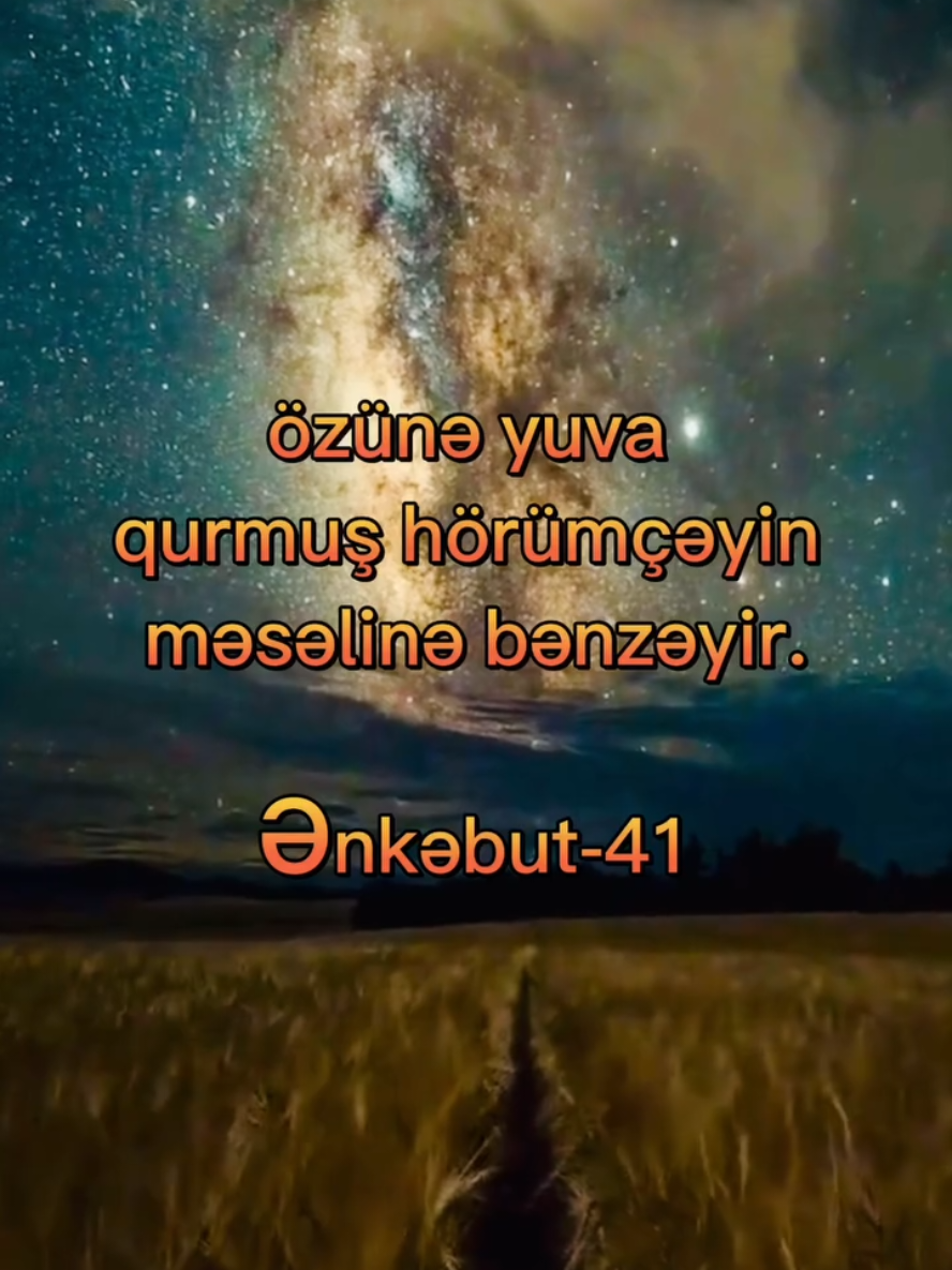 Ənkəbut surəsi | 41 🌿 #quran #quranikərim #ənkəbutsurəsi #ayə #surə
