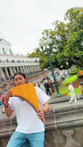 Hasta la raíz #subscribe #relaxing #panflute #ecuador🇪🇨 
