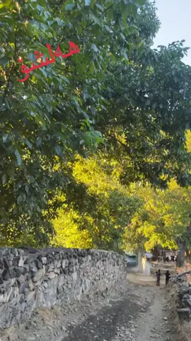 #foryour #fyp #nature #سلێمانیەکەم_هەولێر_کەرکوک_کەلار_سەیسایەق #کوردستان_سلێمانی_کەرکوک_هەولیر_دھۆك 