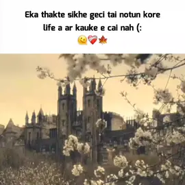 Ami eka e thik aci 🫠 . . #sadstory #imagination #status #imagine #fyp 