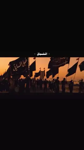 من يا محافظة طلعون #ياحسين_ياشهيد_كربلاء #شور_حتى_الظهور #اللهم_عجل_لوليك_الفرج 