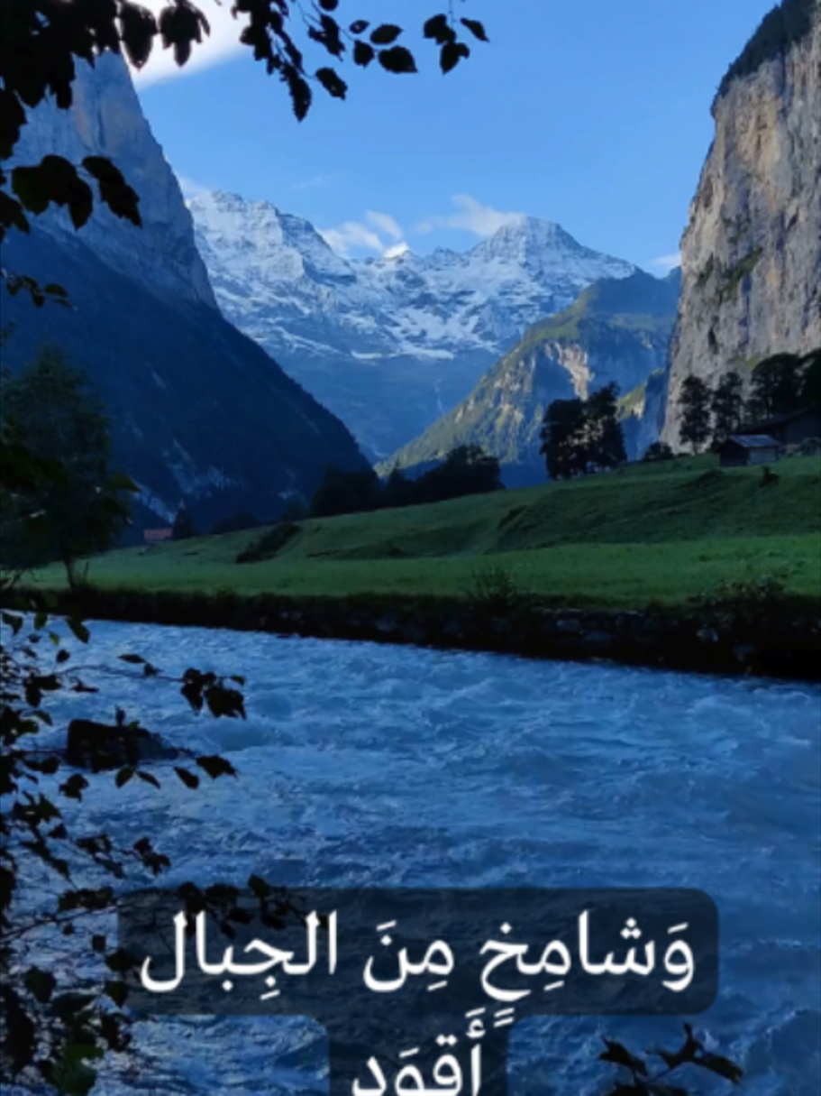 وَشامِخٍ مِنَ الجِبالِ .. المتنبي #foryou #بوكتوك #تريند #اكسبلور_تيك_توك #شعر_عربي_اصيل #قصائد_من_ذهب #أوتار_القصيد #viral #طرب #explore #ادب_عربي #تاريخ_العرب #arabic #Dhou3Art #جبال #رحالة