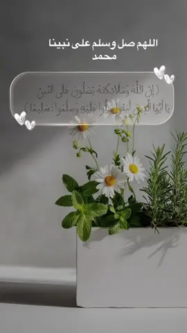#اللَّهُــمَّ ᷂صَلِّ ᷂وَسَـــلِّمْ ᷂وَبَارِك ᷂على ᷂نَبِيِّنَـــا ᷂مُحمَّد وعلى آله وصحبه أجمعين CapCut #يوم_الجمعه 