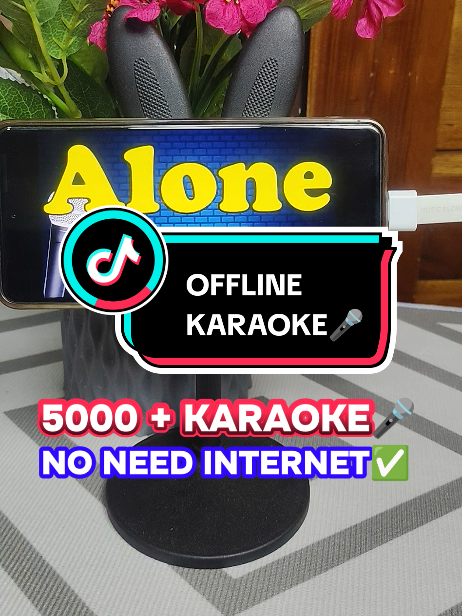 MAPAPA UNLI KANTAHAN TAYO KAHIT WALANG INTERNET. #videoke #karaoke #song #music #usb 