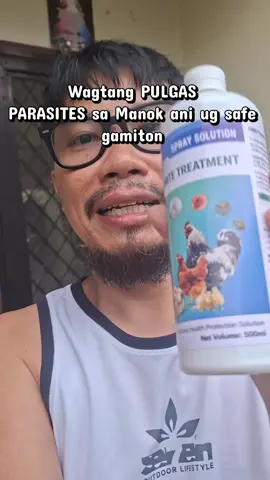 maka tabang patay sa pulgas ug parasites & mites sa atong mga manok