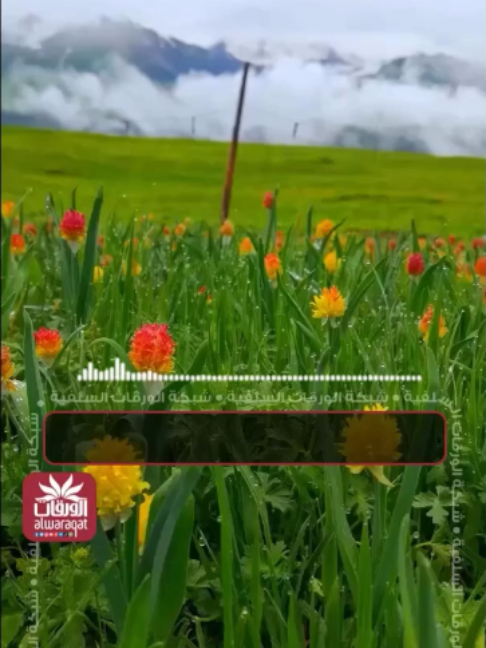 💐الحكم الفصل بين السلفيين والحزبيين والمتمذهبين 🎙️فضيلة الشيخ المحدث العلامة محمد ناصر الدين #الألباني رحمه الله 📥لتحميل المقطع: 📅  بالتقويم: https://bit.ly/18-01-1448 📺  بدون التقويم: https://bit.ly/18-01-1448W 📲 تابعونا على مواقع التواصل الاجتماعي: 🔗 http://bit.ly/m/alwaraqat . . . . #المحرم #محرم #شهر_الله_المحرم #ناصر_الدين_الألباني #محمد_ناصر_الدين_الألباني #الشيخ_محمد_ناصر_الدين_الألباني #الشيخ_الألباني #البدعة #البدع #الدعاء #دعاء #السعودية #أهل_السنة_والجماعة  #الدعوة #التوحيد #الشرك