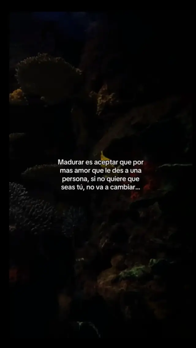 ......,........... 🙃      💥