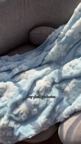 Plush blanket from QVC on TikTok shop #blanket #cozy #warm #giftideas #homefinds 