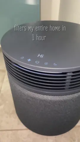 This is my Blueair air filter and let me tell you we are breathing better honey #airfilter #homeairfilter #dealsforyoudays #housefinds #homeessentials 