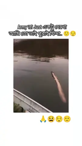 কি কেমন লাগলো ভালো না 😌😌😌😫😫😫🥹🥹🥹#tanding #foryou #fyp #BTS #jungkook @TikTok Bangladesh 