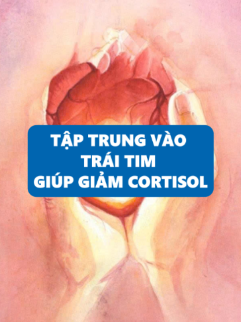 Tập trung vào trái tim và lấp đầy nó bằng những cảm xúc tích cực sẽ kích hoạt một trạng thái sinh lý mạnh mẽ được khoa học gọi là Sự gắn kết của tim (Heart Coherence). Thay vì để cơ thể bị tàn phá bởi nồng độ cortisol cao (thủ phạm giết chết tế bào não, gây lão hóa nhanh và suy giảm miễn dịch), việc tập trung vào trái tim mạch lạc đóng vai trò như một liều thuốc giải đ.ộ.c tự nhiên. Nó không chỉ làm giảm lượng cortisol mà còn kéo theo các hệ cơ quan quan trọng khác như hệ tuần hoàn, hệ tiêu hóa và hệ miễn dịch cùng tiến vào một trạng thái đồng bộ, khỏe mạnh và tự chữa lành. #dawsonchurch #mindtomatter