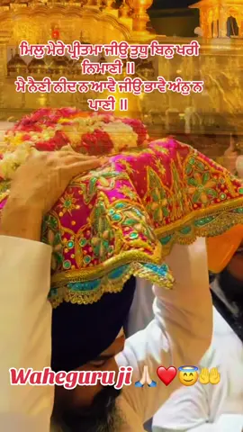 #fyp #viral #creatorsearchinsight #waheguru #gurbanishabad 