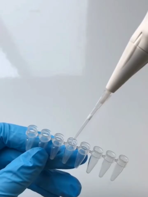 Lab routine#SDLABIO#Science #Biotech #LifeScience #ciencia #Microbiology #LabTips #Microbiologia #наука #ScienceTok #معمل #علوم #Labor #ciência #scientificresearch #laboratório #laboratorio #과학 #Laboratorio #BiologíaMolecular  #Laboratoire  #biology #hospital #sciencelife #lablife #laboratory #chemistry