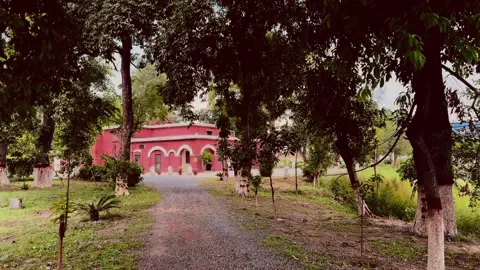 حسرتیں کچھ اور ہیں وقت کی التجا کچھ اور ہے کون جی سکا ہے زندگی اپنی مرضی سے دِل چاہتا کچھ اور ہے اور ہوتا کچھ اور ہے❤️‍🩹 #ali_l3ukhari #aestheticvideos #foryou #fypviralシ #chand 