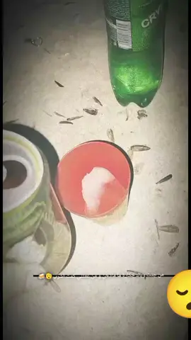 بصحتكم😴🍻