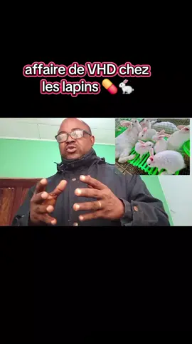 tout savoir sur la VHD des lapins il ne manquez pas de prendre nos formations et nos différents livres pour réussir votre élevage#elevagedeslapins #cameroun #yaounde #Abidjan #pourtoi 