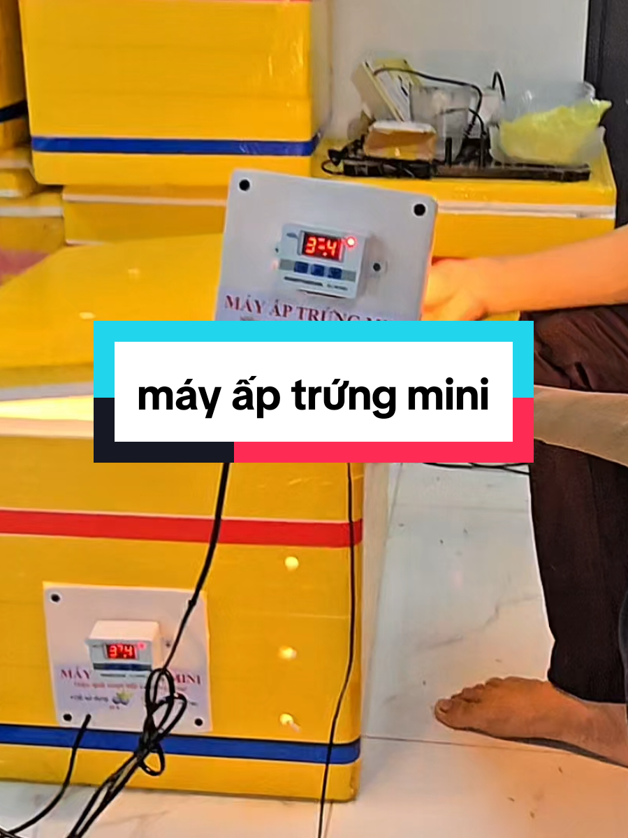 máy ấp trứng mini #lắpmáyấptrứng #máyấptrứngmini #máyấptrứng #máyấptrứnggà 