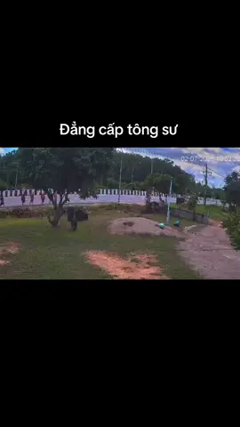 #xuhướng tông sư  nguồn mxh thái lan 