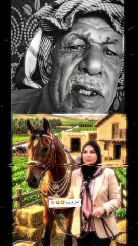 عالية نصيف امس اجت سوت شريطة ذهب 😂#عالية_نصيف #الحجي_يحجي #ضحك😂 #حصان_عربي_أصيل 