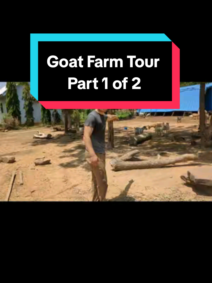 Goat Farm Tour Part 1 of 2 #goatfarming #goats #animalhusbandry #breeding #farminginghana 