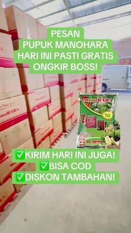 PESAN HARI INI KIRIM HARI INI! #promo #fyp #petaniindonesia🇮🇩🇮🇩🇮🇩🌿🌿 #manohara 
