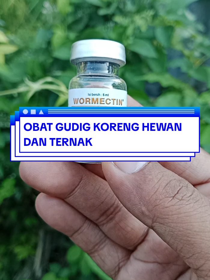 Wormectin obat guduk koreng segala macam jenis hewan dan ternak #wormectin #obatgudik #obatgudikhewan #ternakindonesia 