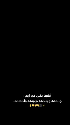 🖇️💛 #مهرابيه_الوداع🖤✨ #تيم_بنات_كركوك🇮🇶❤️ #خِـوٌأّطِر_مًبًعٌثًـرهّ🖤🥀 