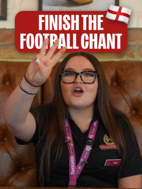 We've seen enough, get them in the stands! 🤩🦁 #HungryHorse #Football #England #PubHumour