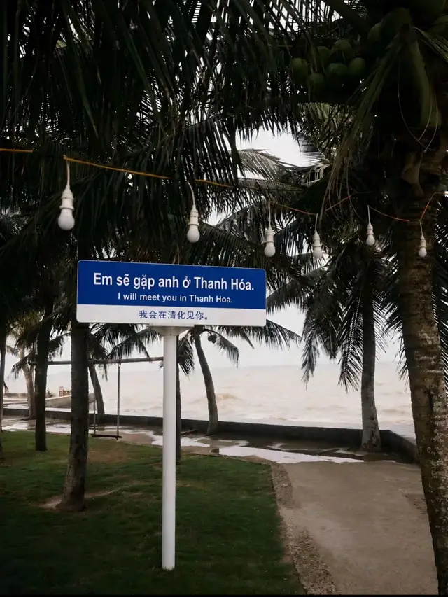 #flamingohaitien #baibienhaitien #thanhhoa36 #xhh #viral 