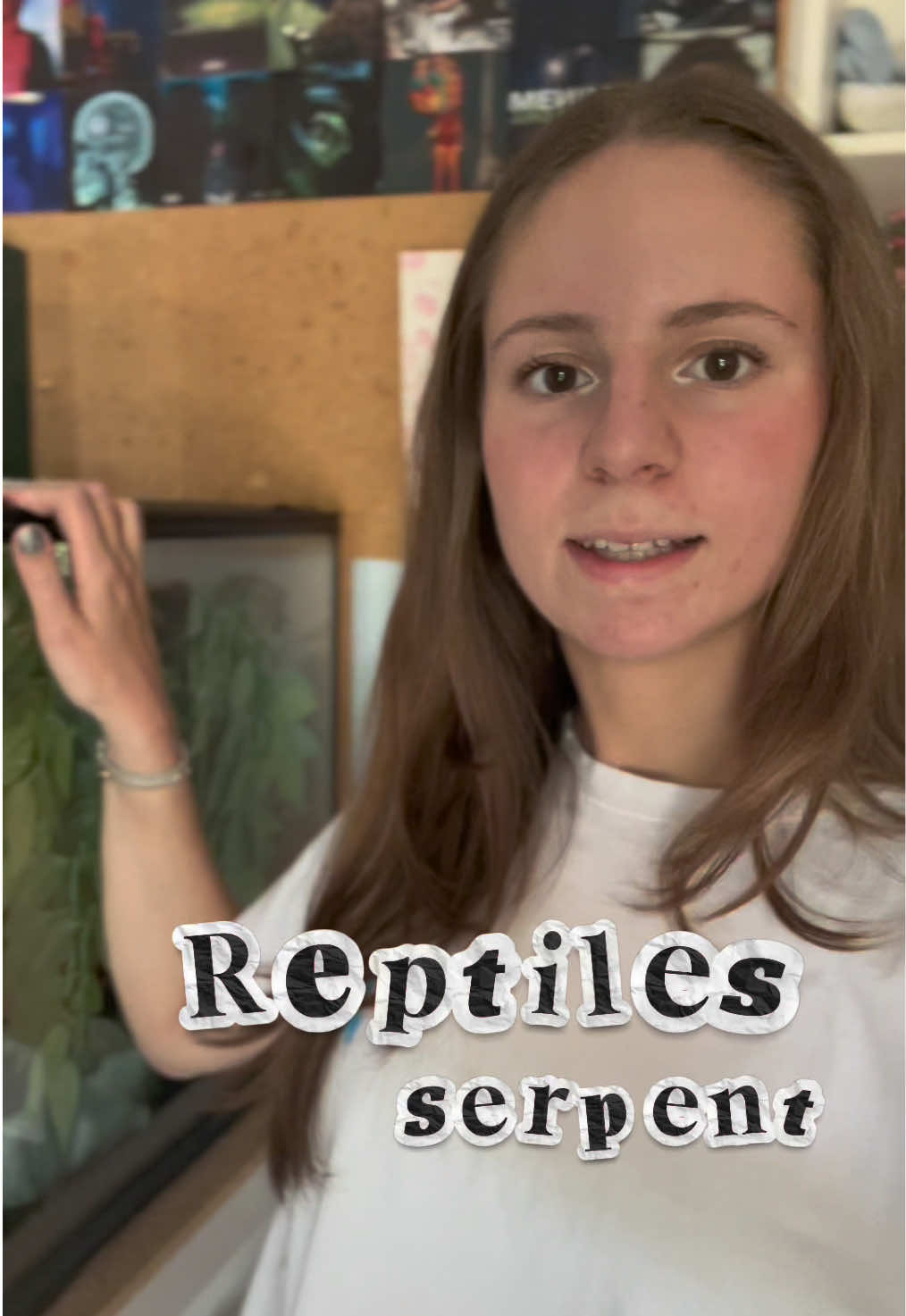 Si vous avez des conseils !! #CapCut #serpent #serpentdesbles #terrarium #reptile 