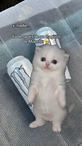 😵‍💫😅.  #fyp #monster #paratiiiiiiiiiiiiiiiiiiiiiiiiiiiiiii #MemeCut #viral 