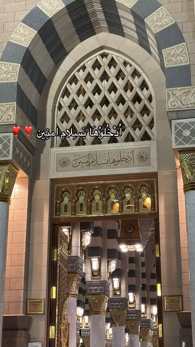 #المدينه_المنوره #المسجدالنبوي #الحرم #🕌 