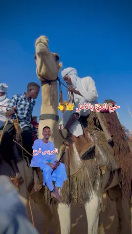 #العريس #تحياتي_لجميع_المشاهدين_والمتابعين 