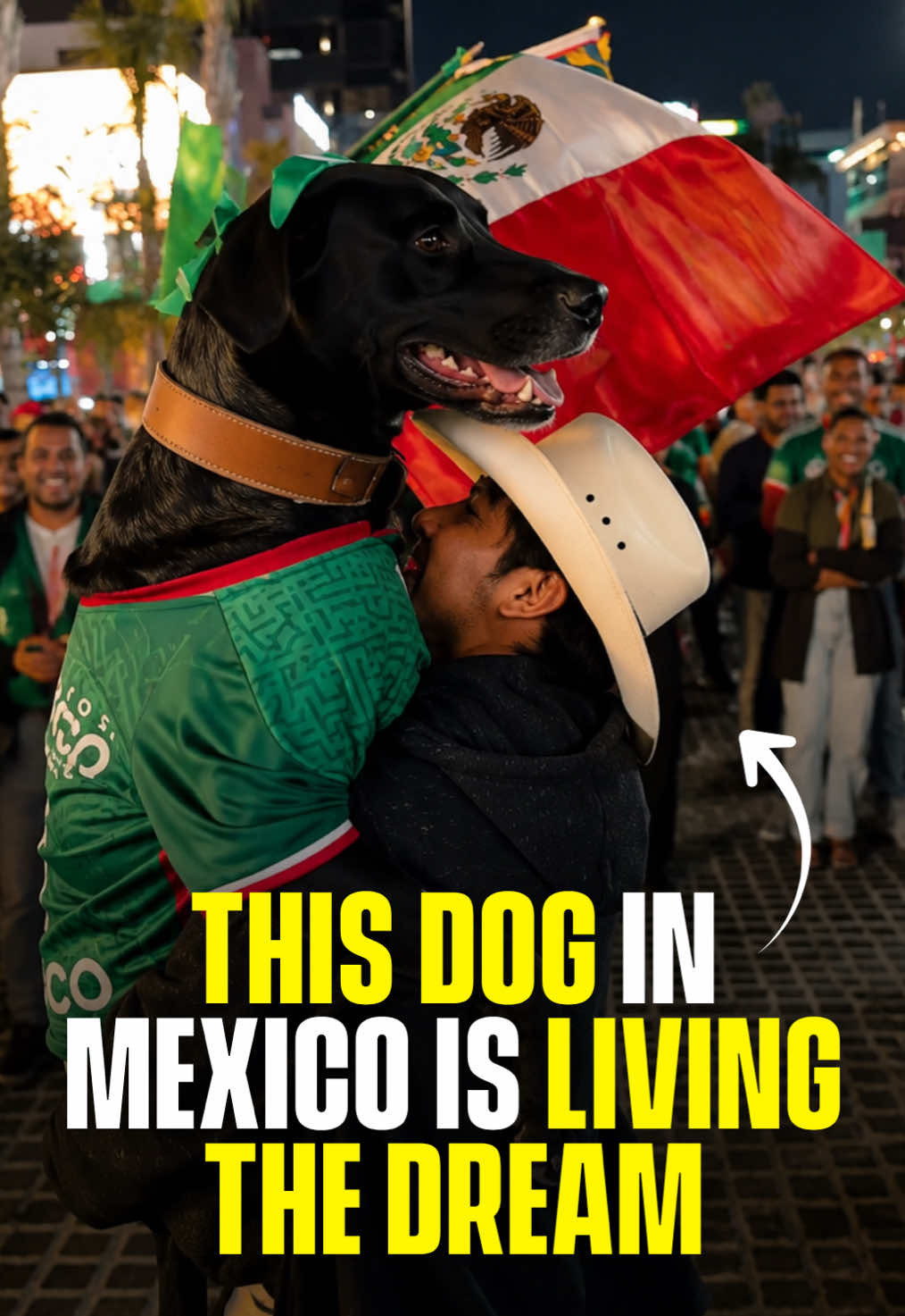 Do you think his team will win against England on Sunday? A Great Dane in Mexico has been showing up to World Cup watch parties in full kit, playing football with fans, celebrating every goal and getting more attention than anyone on the screen. #RoadTo19M #Pubity  (via: IG/moipf_)