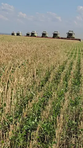#2026 #claas #работа 