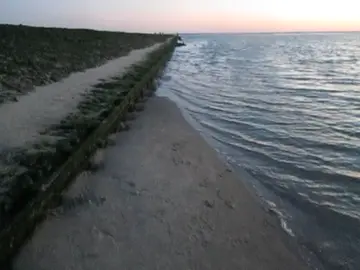 why 