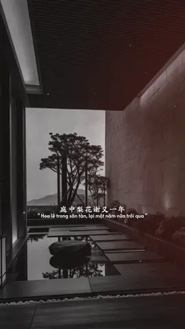 Hoa lê trong sân tàn lại một năm nữa trôi qua… #tramcamxuc_01 #kirozmedia #tamtrang 