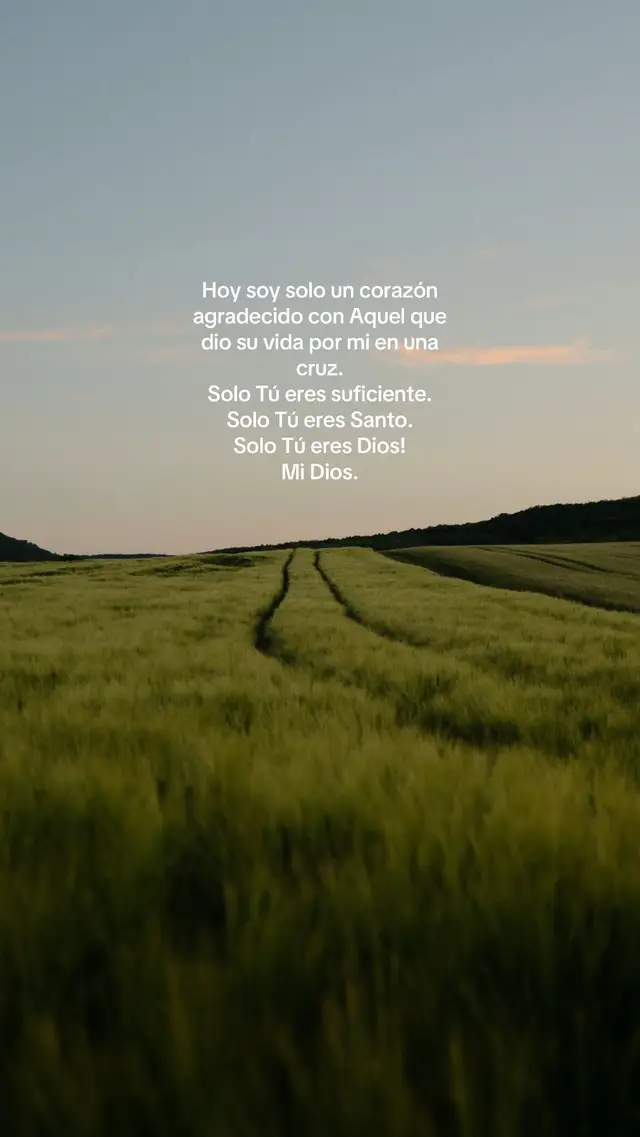 Un corazón ♥️