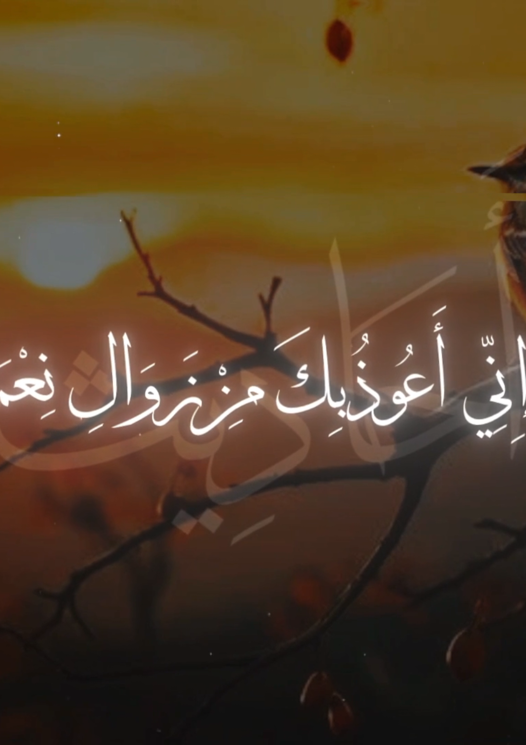 «عَنِ ابْنِ عُمَرَ رَضِيَ اللَّهُ عَنْهُمَا قَالَ: كَانَ مِنْ دُعَاءِ رَسُولِ اللَّهِ صَلَّى اللَّهُ عَلَيْهِ وَسَلَّمَ: اللَّهُمَّ إِنِّي أَعُوذُ بِكَ مِنْ زَوَالِ نِعْمَتِكَ، وَتَحَوُّلِ عَافِيَتِكَ، وَفُجَاءَةِ نِقْمَتِكَ، وَجَمِيعِ سَخَطِكَ» رَوَاهُ مُسْلِمٌ.#حديث_رسول_الله #صحيح_البخاري_ومسلم  #حديث_نبوى #حديث_شريف #قال_رسول_الله_عليه_الصلاة_والسلام