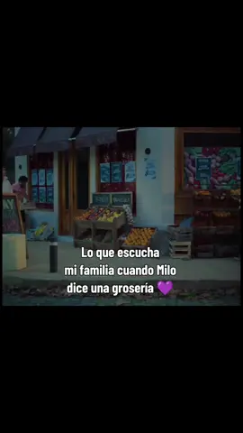 pero igual les gusta sus canciones jejejeje #humor #paratii #fypシ #miloj 