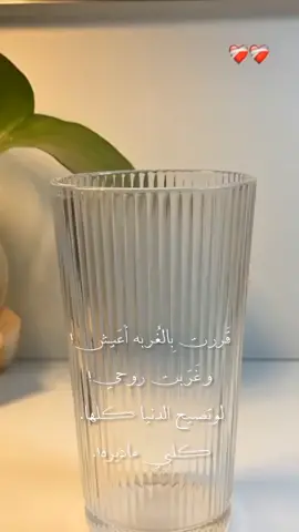 لو تصيح الدنيا كلها كلبي ماديره...  .  .  .  . #الشعب_الصيني_ماله_حل😂😂 #اكسبلورexplore #العراق_السعوديه_الاردن_الخليج #اكسبلورexplore 