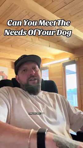 What your dog needs, can you meet these needs ? 