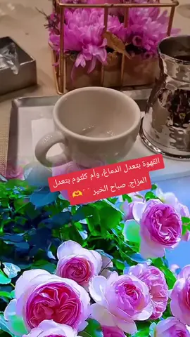 #الصباح حلو لما. يكون فيه ريحة قهوة  ودفا صوت ام كلثوم ورواق بال #صببببباااااح_الغلا_والمحبه🌹🌹💕  #صبببببباحكم__وورد_واحساس♪♪❅❅ 