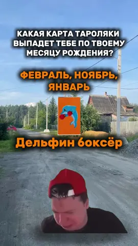 #меллстрой #таро #коляка #сованаскакалке #дельфинбоксер 