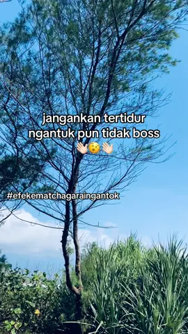 fyp