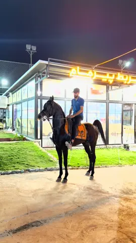 ئەسپە  اسواد خاوەنداریەتی @هەژارناڵ بە ند 
