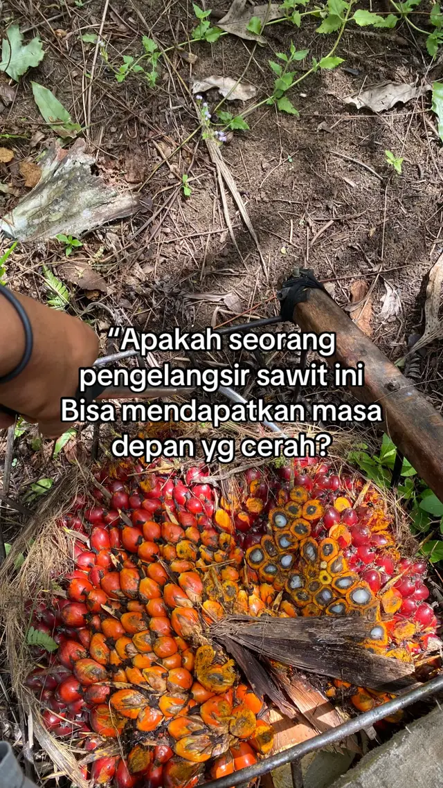 Gmn pendapat kalian!!#fypシ #tukanglangsirsawit🌴🌴#pekerjakeras#kulisawit